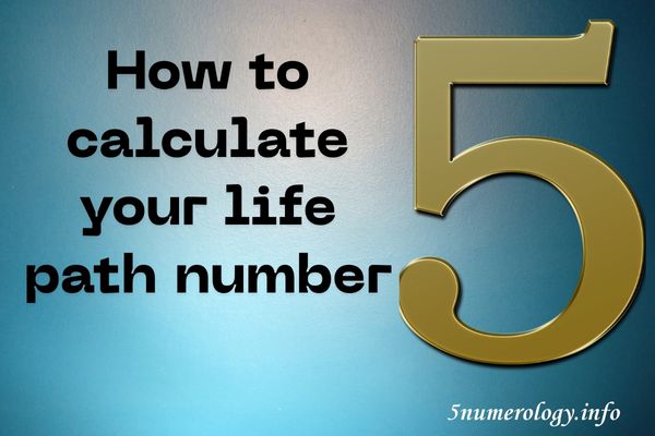 calculate your life path number